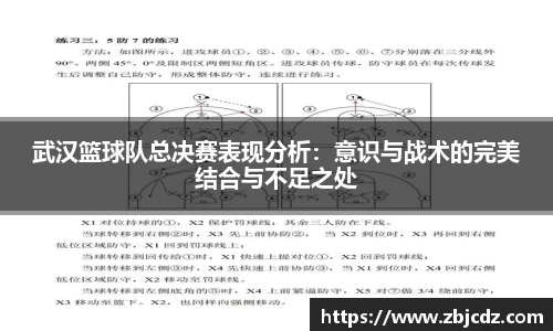 武汉篮球队总决赛表现分析：意识与战术的完美结合与不足之处